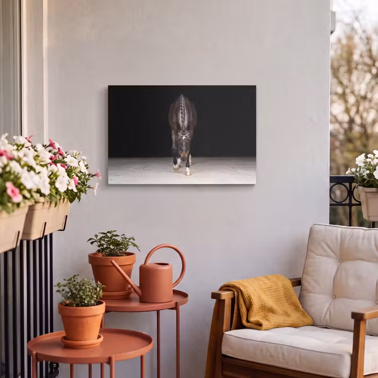 Buiten canvas - Paard - Modern - Portret — 4