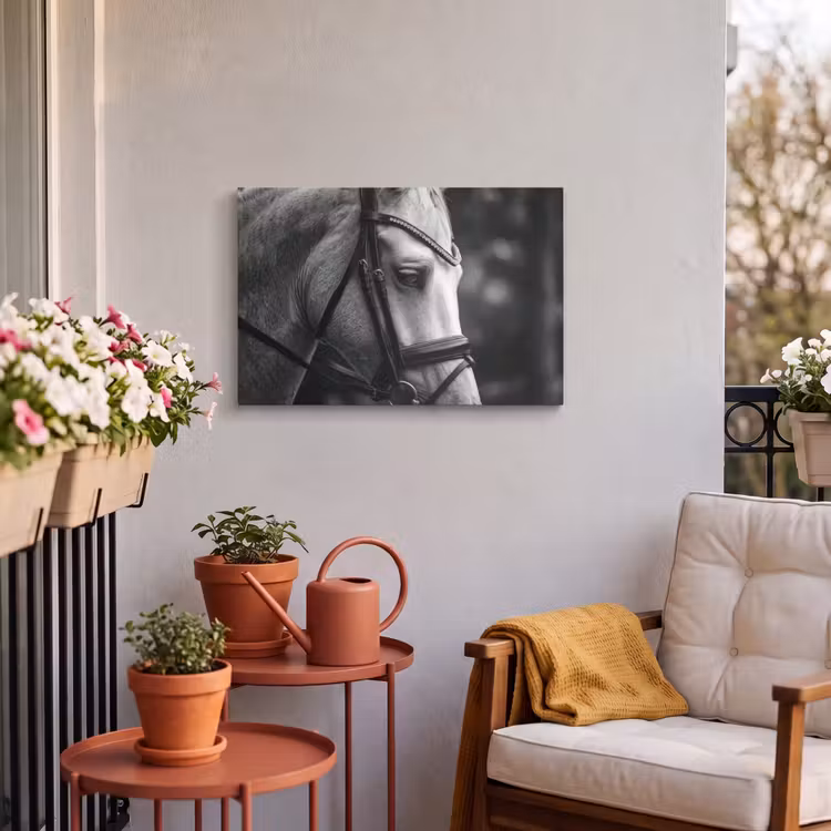 Buiten canvas - Paard - Schimmel - Portret — 4