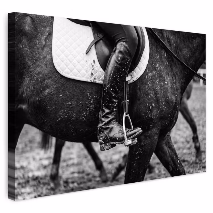 Buiten canvas - Paard - Sport - Zwart - Wit — 1