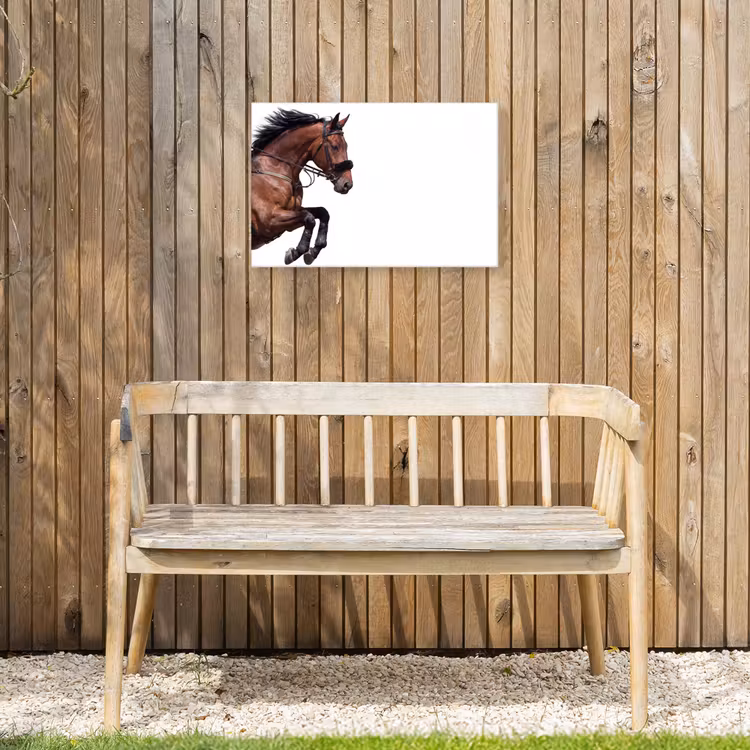 Buiten canvas - Paard - Springen - Modern — 3