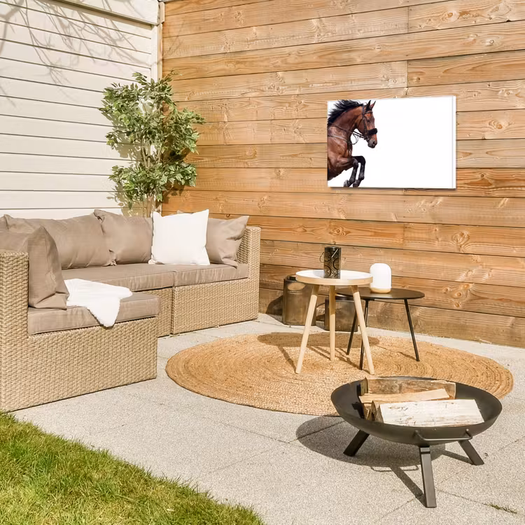 Buiten canvas - Paard - Springen - Modern — 5