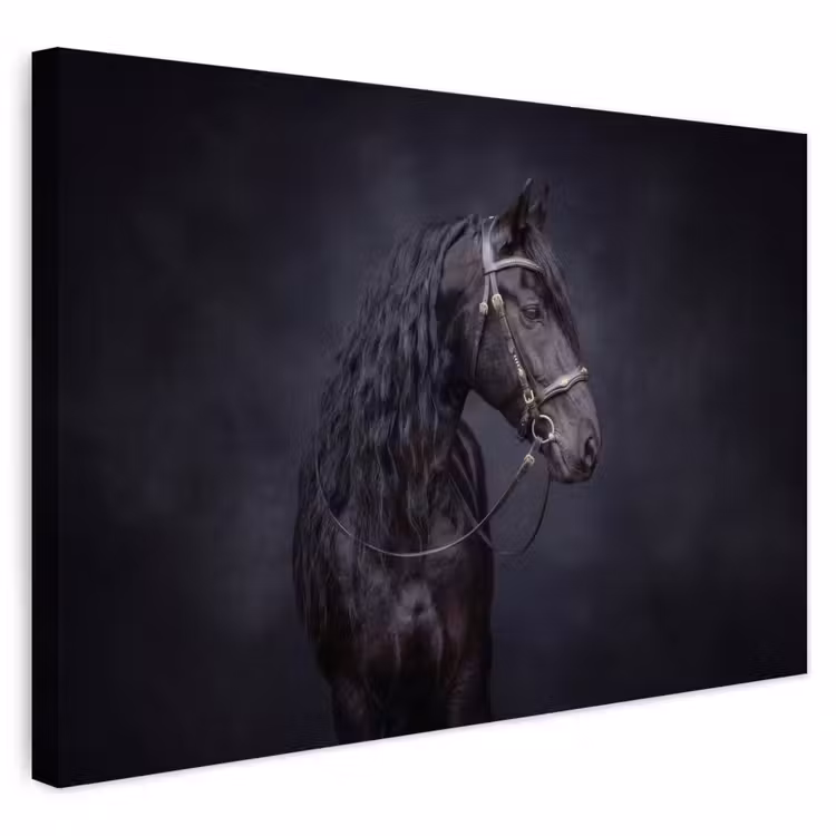 Buiten canvas - Portret - Paard - Donker — 1