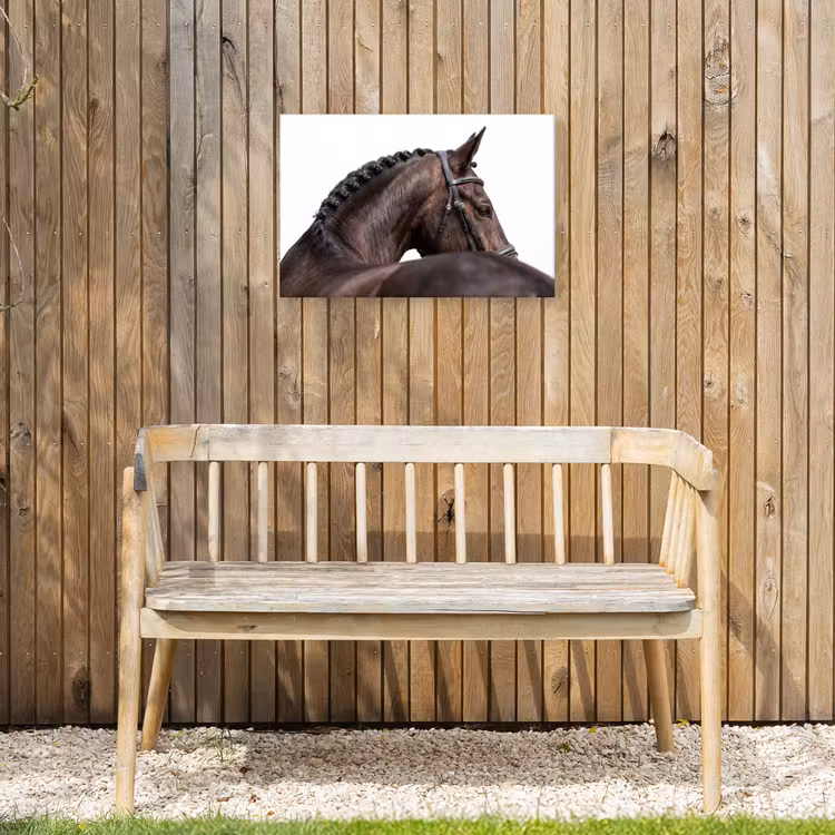 Buiten canvas - Portret - Paard - Elegant — 3