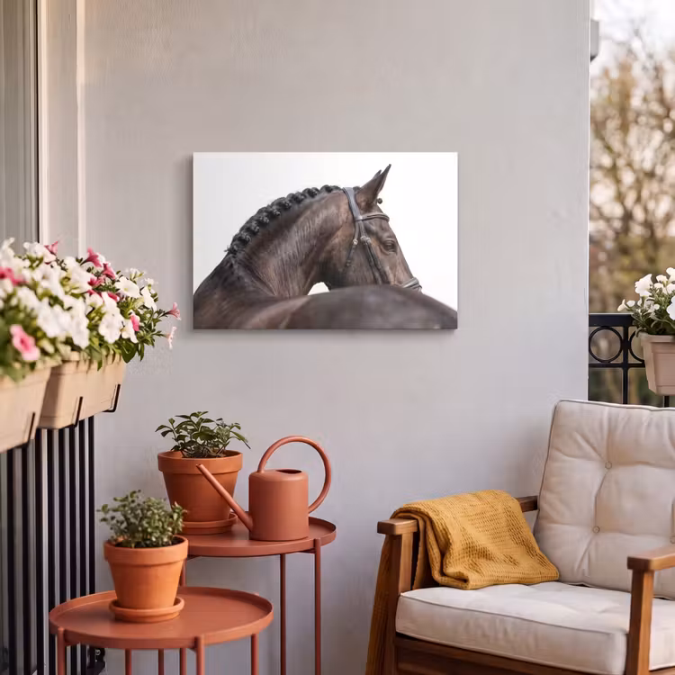 Buiten canvas - Portret - Paard - Elegant — 4