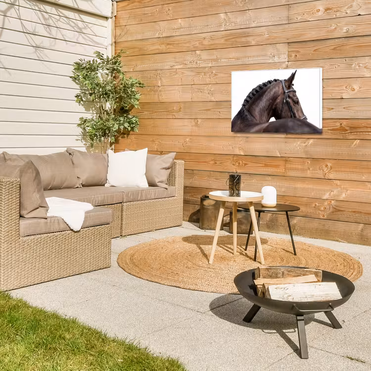 Buiten canvas - Portret - Paard - Elegant — 5