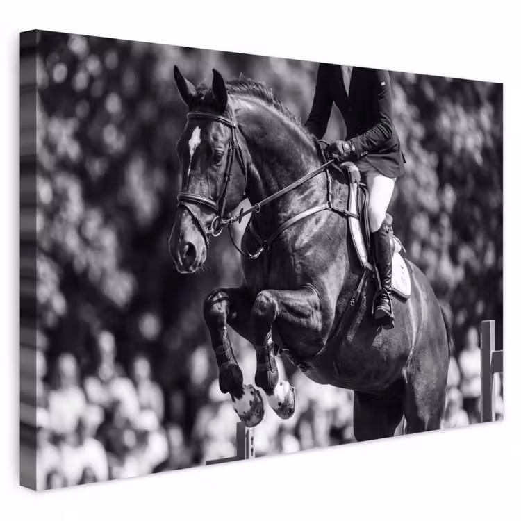 Buiten canvas - Springen - Paard - Zwart - Wit — 1