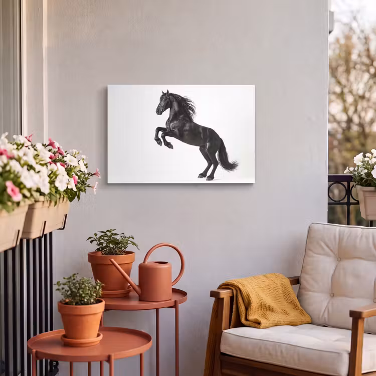 Buiten canvas - Zwart - Paard - Portret — 3
