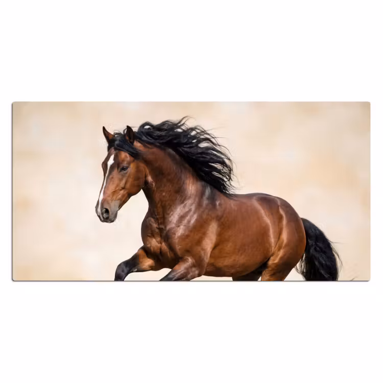 Bureau onderlegger - Paard - Galop - Energie — 2