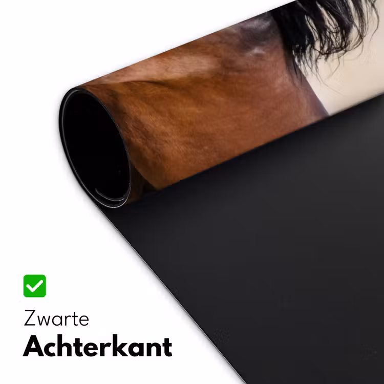 Bureau onderlegger - Paard - Galop - Energie — 5