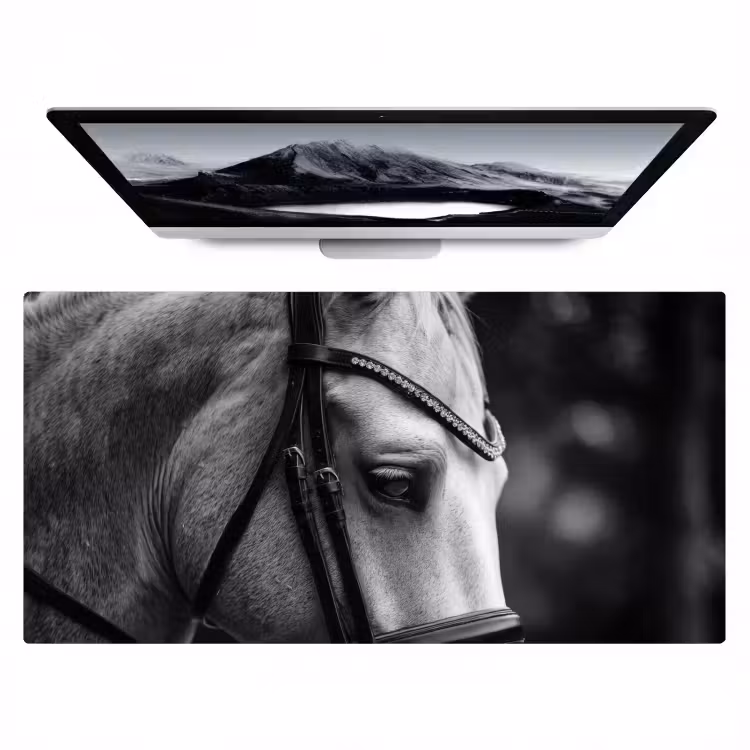 Bureau onderlegger - Paard - Schimmel - Portret — 1