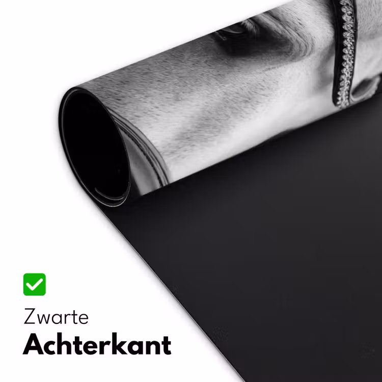 Bureau onderlegger - Paard - Schimmel - Portret — 5