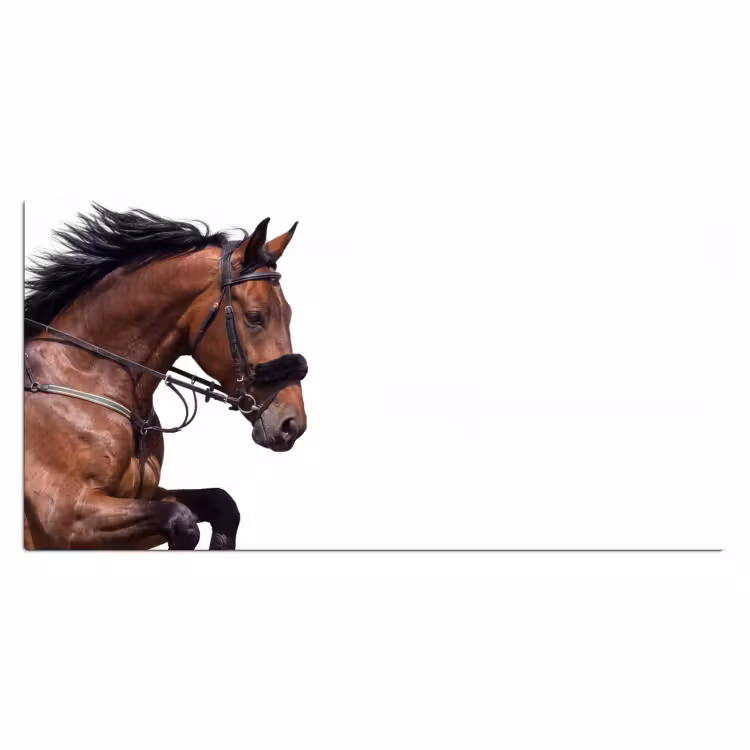 Bureau onderlegger - Paard - Springen - Modern — 2