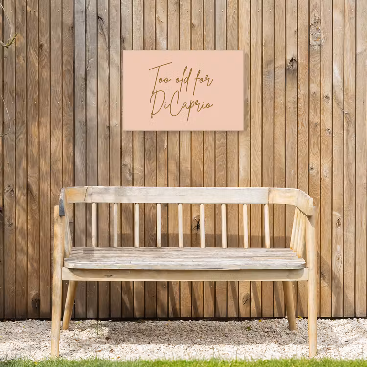 Buiten canvas - Too old for dicaprio - Roze - Groen — 3