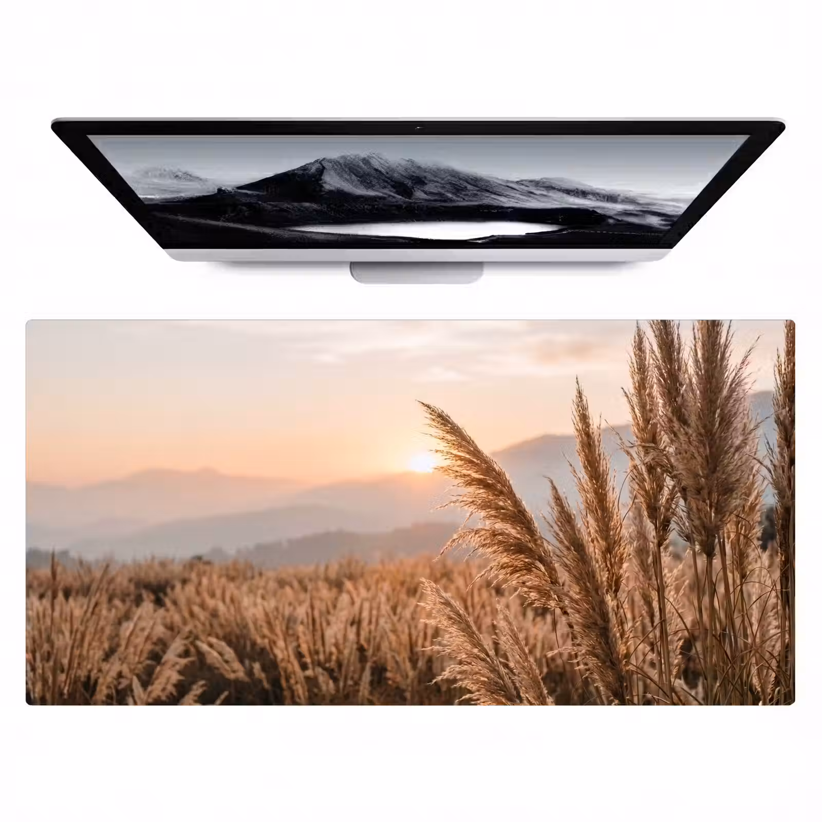 Bureau onderlegger - Gras - Veld - Zon - Natuur — 1