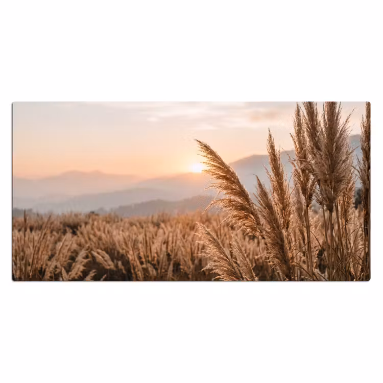Bureau onderlegger - Gras - Veld - Zon - Natuur — 2