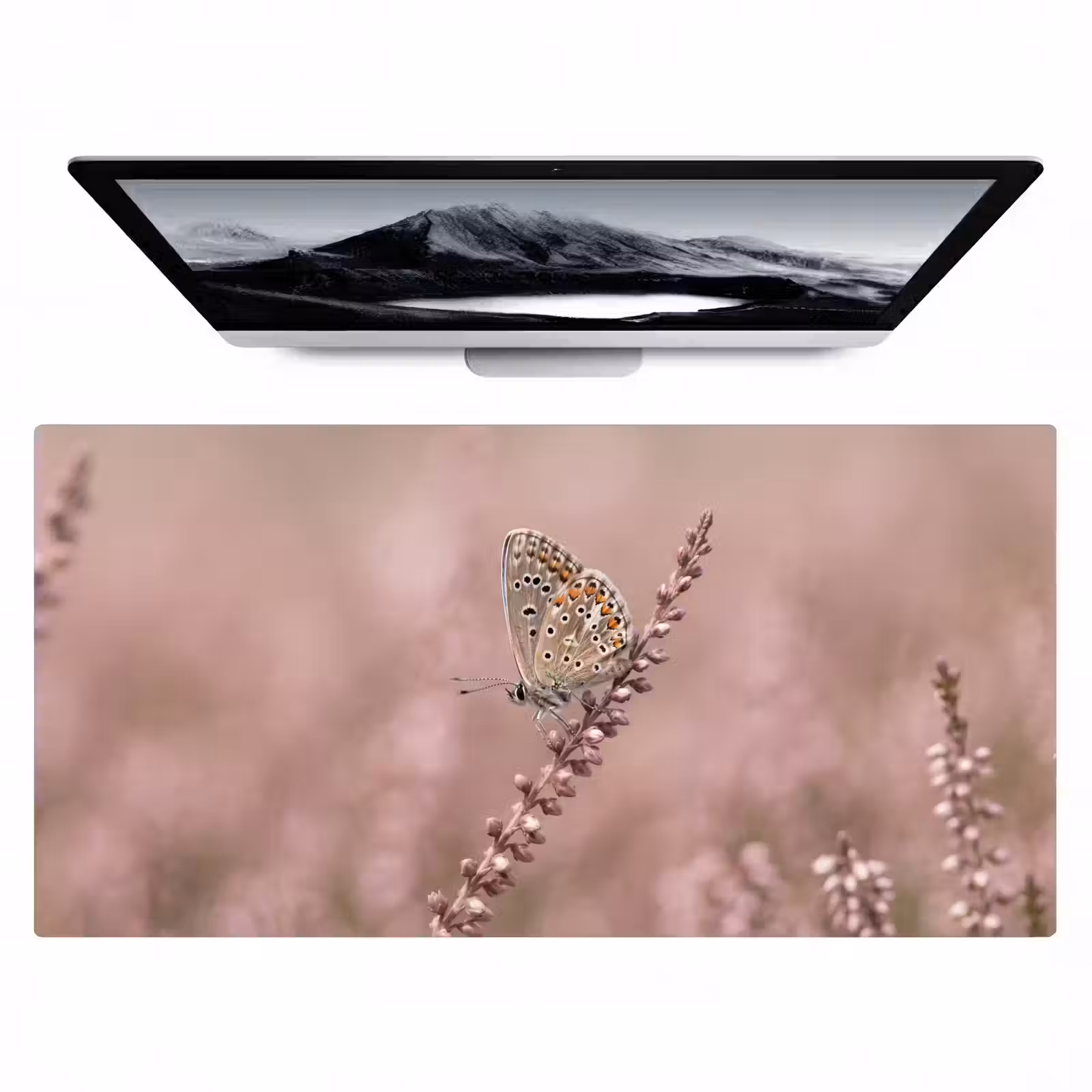 Bureau onderlegger - Lavendel - Vlinder - Paars — 1