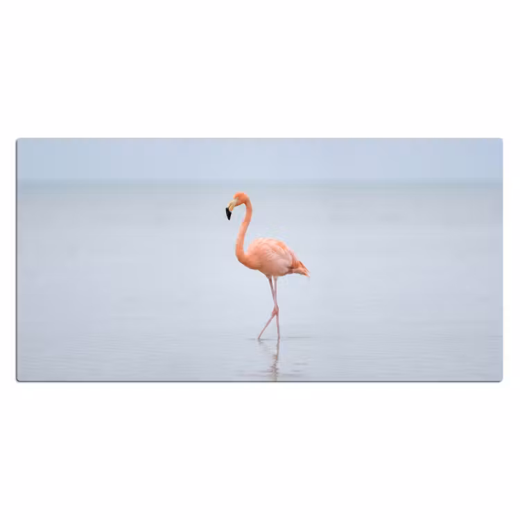Bureau onderlegger - Flamingo - Zee - Roze — 2