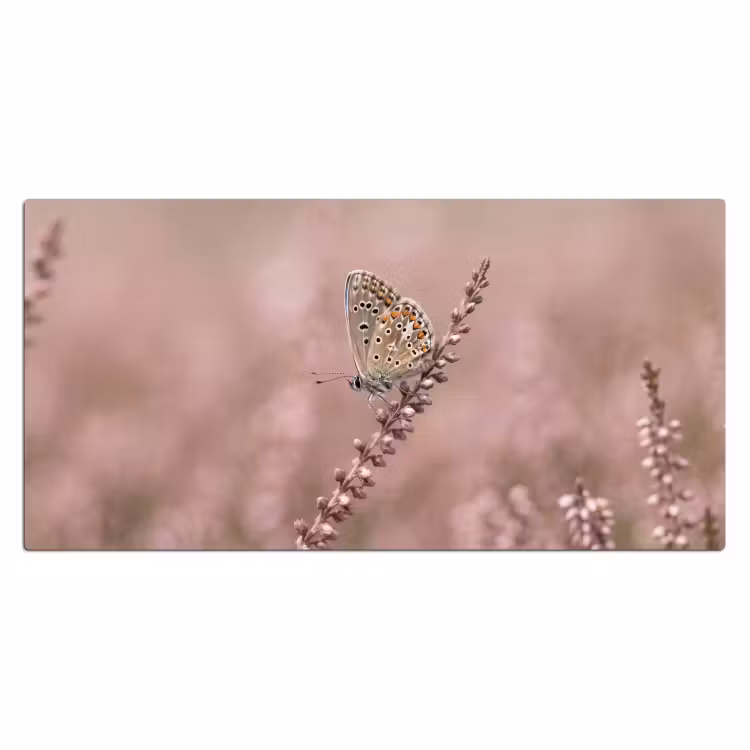 Bureau onderlegger - Lavendel - Vlinder - Paars — 2