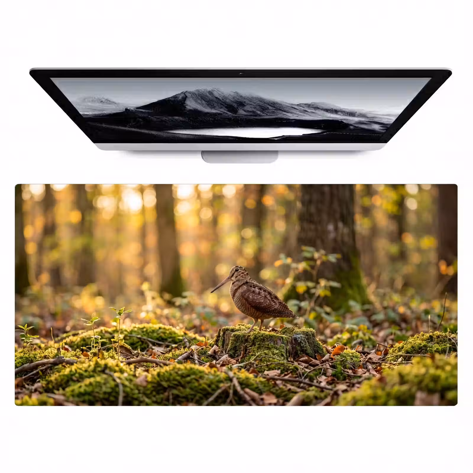 Bureau onderlegger - Houtsnip - Bos - Bladeren - Herfst - Gecamoufleerd — 1