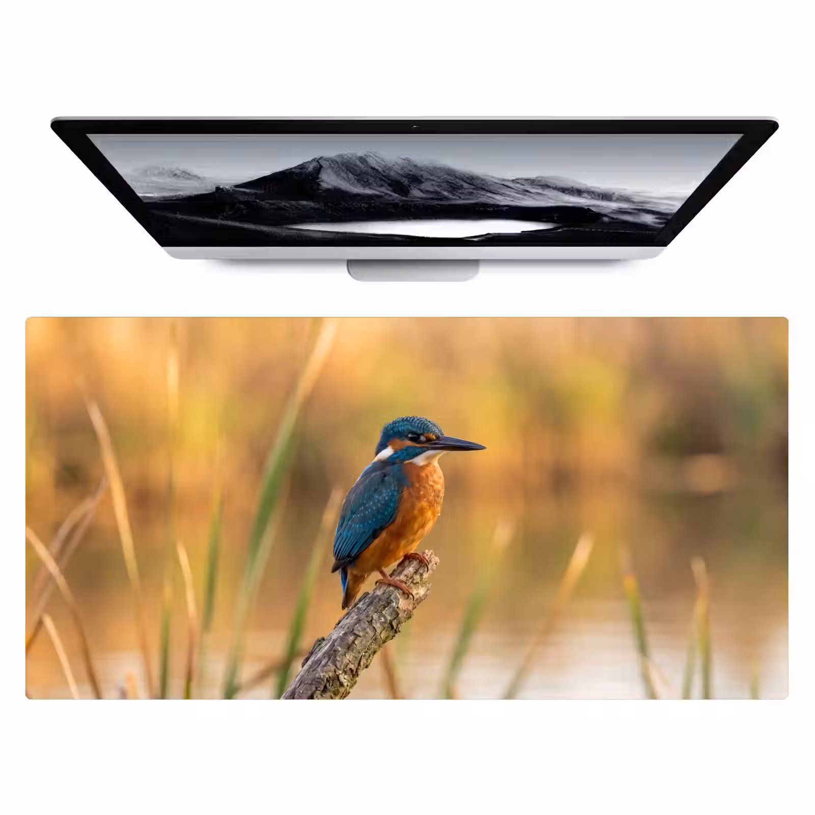 Bureau onderlegger - IJsvogel - Tak - Water - Kleurrijk - Levendig — 1