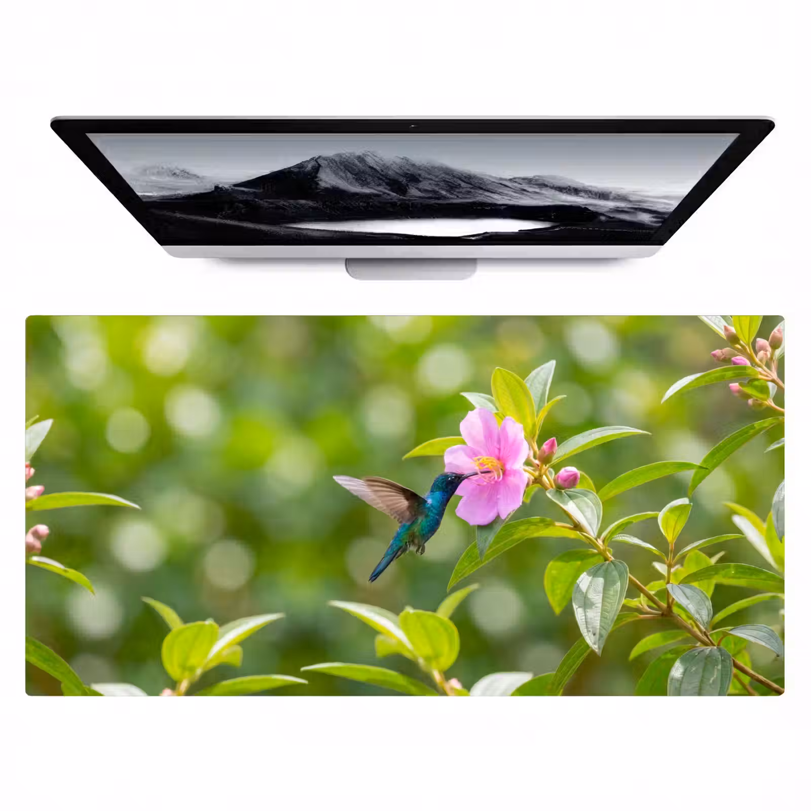 Bureau onderlegger - Kolibrie - Bloem - Natuur - Groen — 1