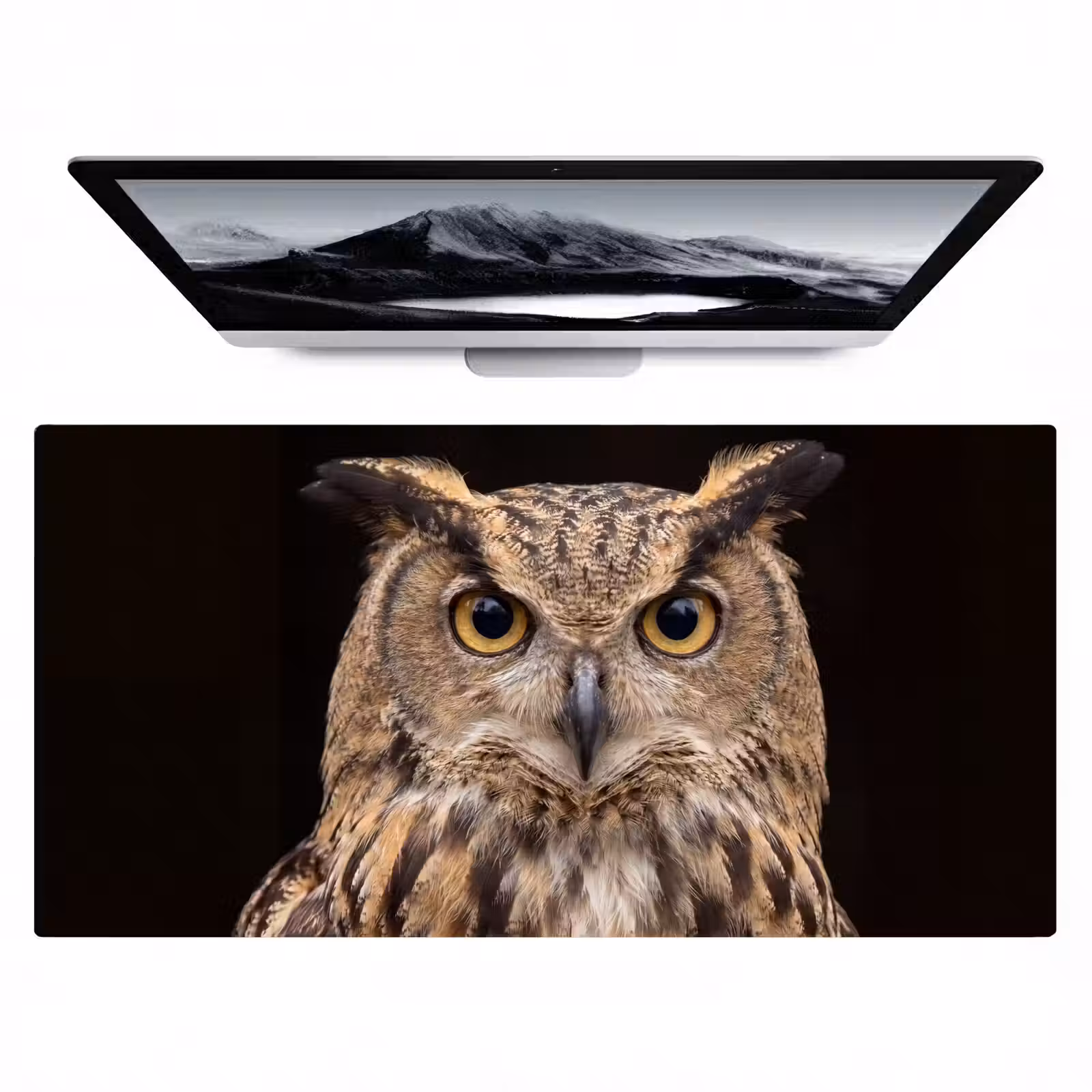 Bureau onderlegger - Oehoe - Uil - Portret - Bruin — 1
