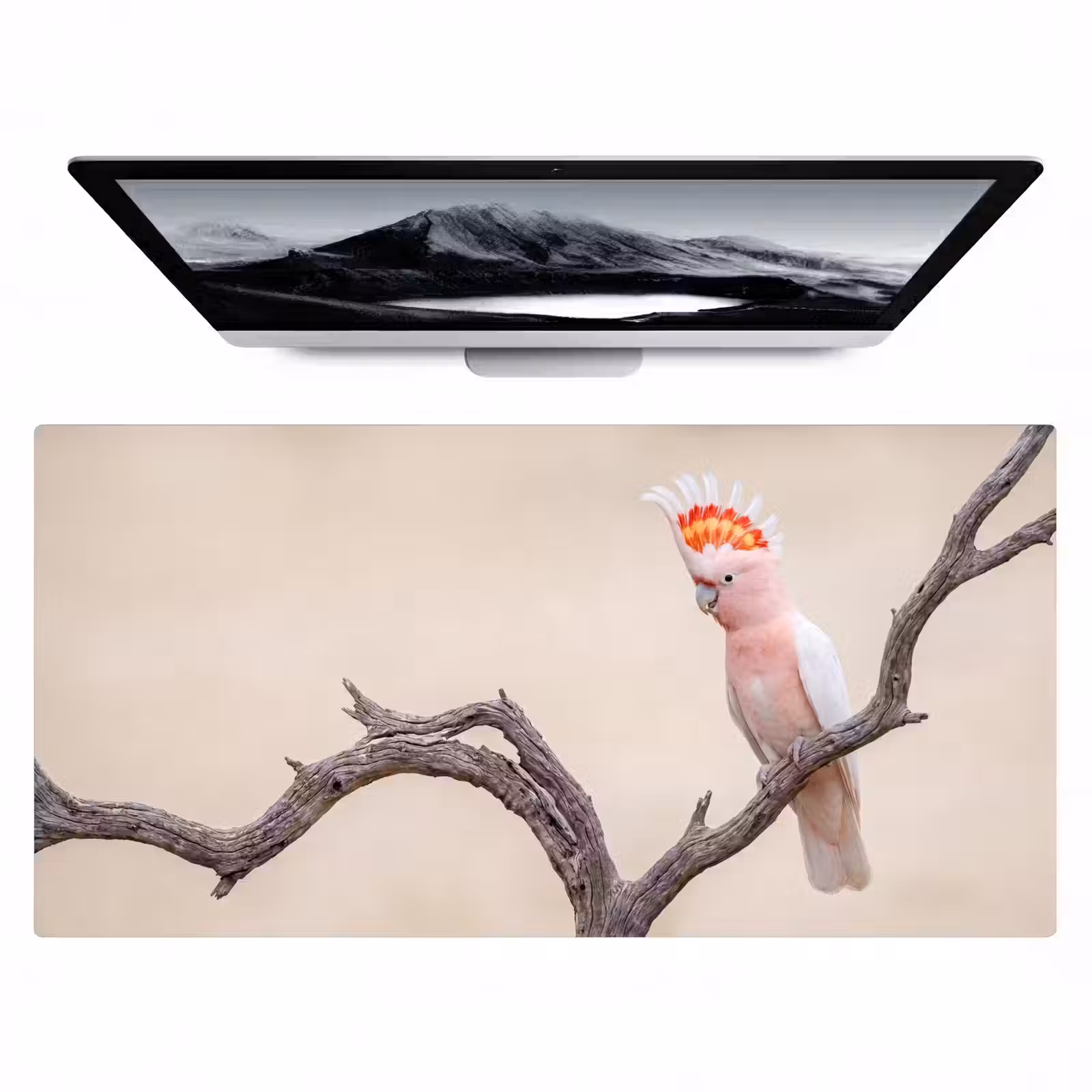 Bureau onderlegger - Papagaai - Tak - Roze — 1