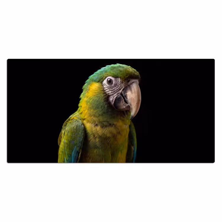 Bureau onderlegger - Ara - Portret - Groen — 2