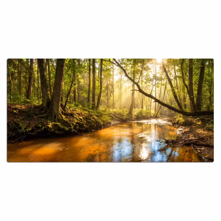 Bureau onderlegger - Bos - Beek - Zonlicht - Natuur - Groen — 2