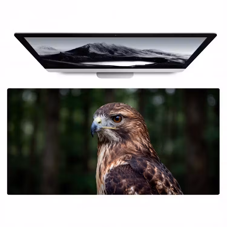 Bureau onderlegger - Buizerd - Roofvogel - Natuur - Bruin — 1
