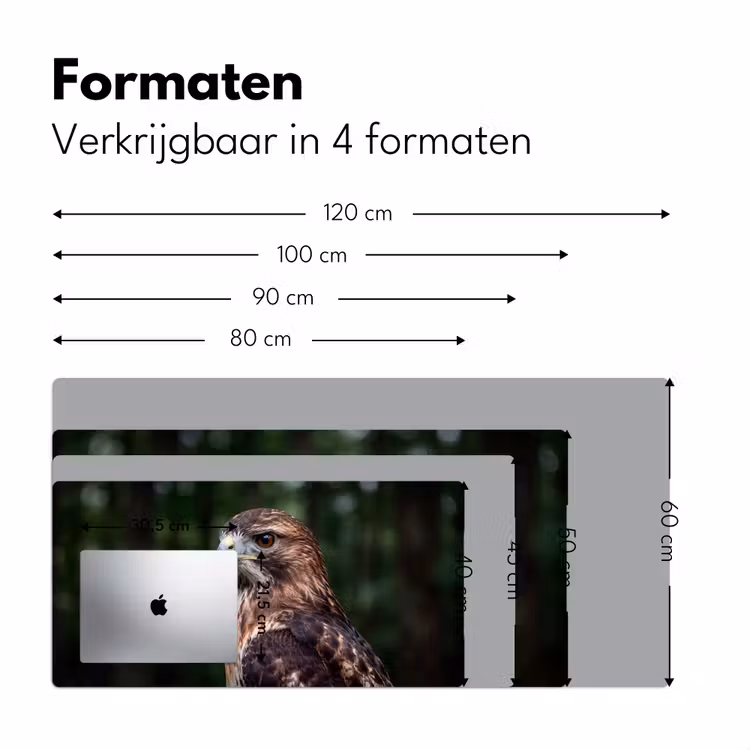 Bureau onderlegger - Buizerd - Roofvogel - Natuur - Bruin — 8