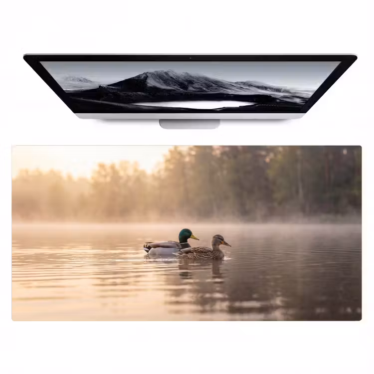 Bureau onderlegger - Eenden - Water - Mist - Natuur — 1
