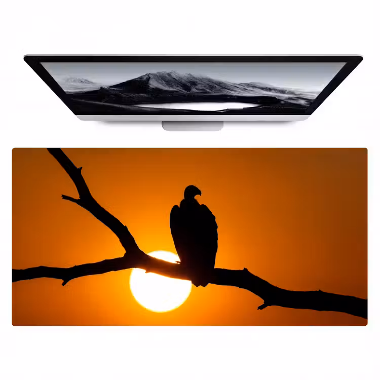 Bureau onderlegger - Gier - Tak - Zon - Oranje — 1