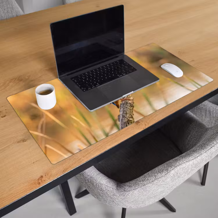 Bureau onderlegger - IJsvogel - Tak - Water - Kleurrijk - Levendig — 3