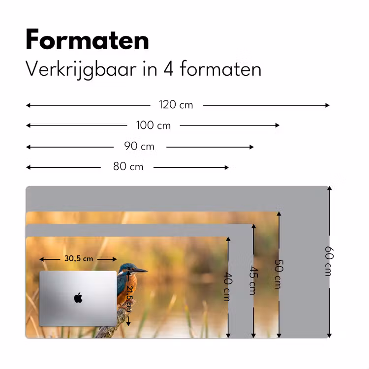 Bureau onderlegger - IJsvogel - Tak - Water - Kleurrijk - Levendig — 8
