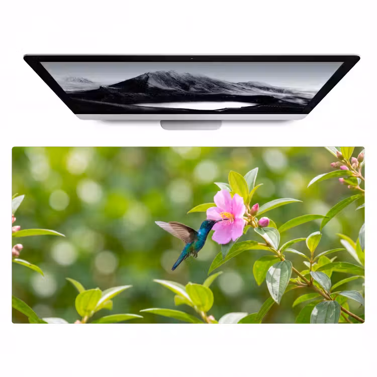 Bureau onderlegger - Kolibrie - Bloem - Natuur - Groen — 1