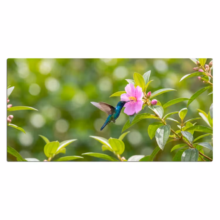 Bureau onderlegger - Kolibrie - Bloem - Natuur - Groen — 2