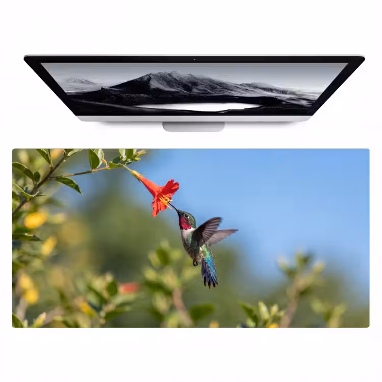 Bureau onderlegger - Kolibrie - Bloem - Natuur - Groen — 1