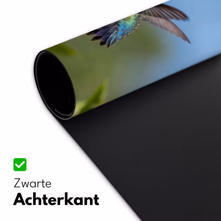 Bureau onderlegger - Kolibrie - Bloem - Natuur - Groen — 5