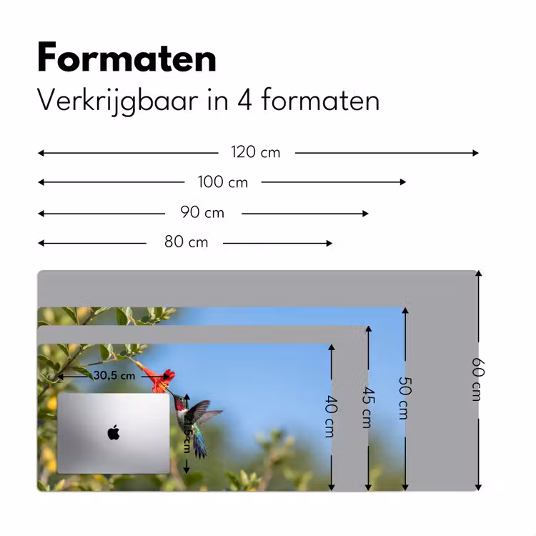 Bureau onderlegger - Kolibrie - Bloem - Natuur - Groen — 8