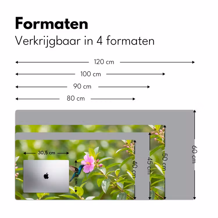 Bureau onderlegger - Kolibrie - Bloem - Natuur - Groen — 8