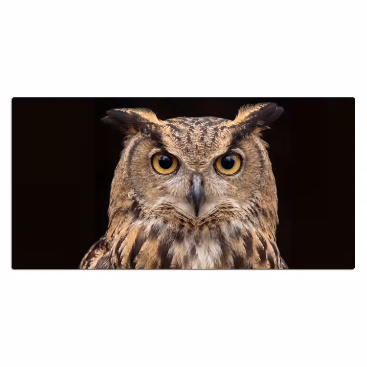 Bureau onderlegger - Oehoe - Uil - Portret - Bruin — 2
