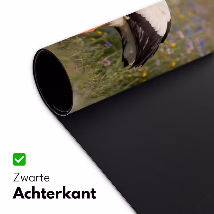 Bureau onderlegger - Ooienvaar - Bloemen - Weide - Kleurrijk — 5
