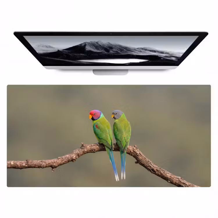 Bureau onderlegger - Papagaai - Tak - Natuur - Kleurrijk — 1