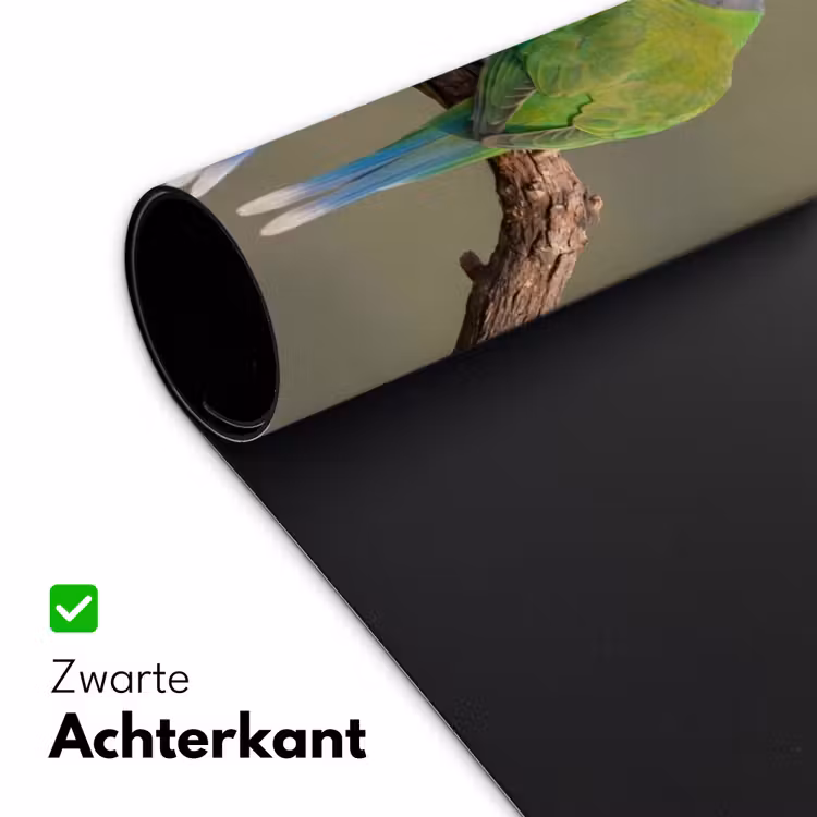 Bureau onderlegger - Papagaai - Tak - Natuur - Kleurrijk — 5