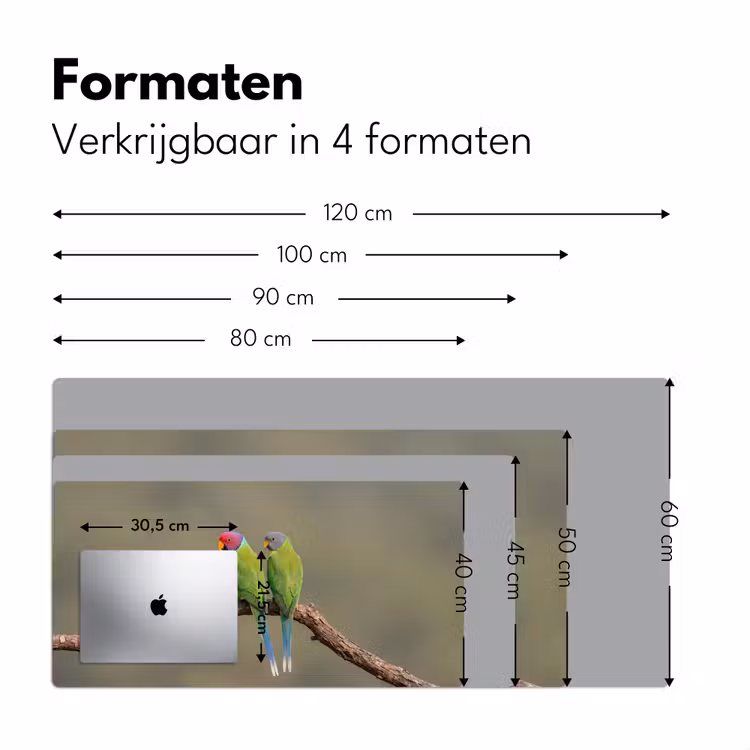 Bureau onderlegger - Papagaai - Tak - Natuur - Kleurrijk — 8