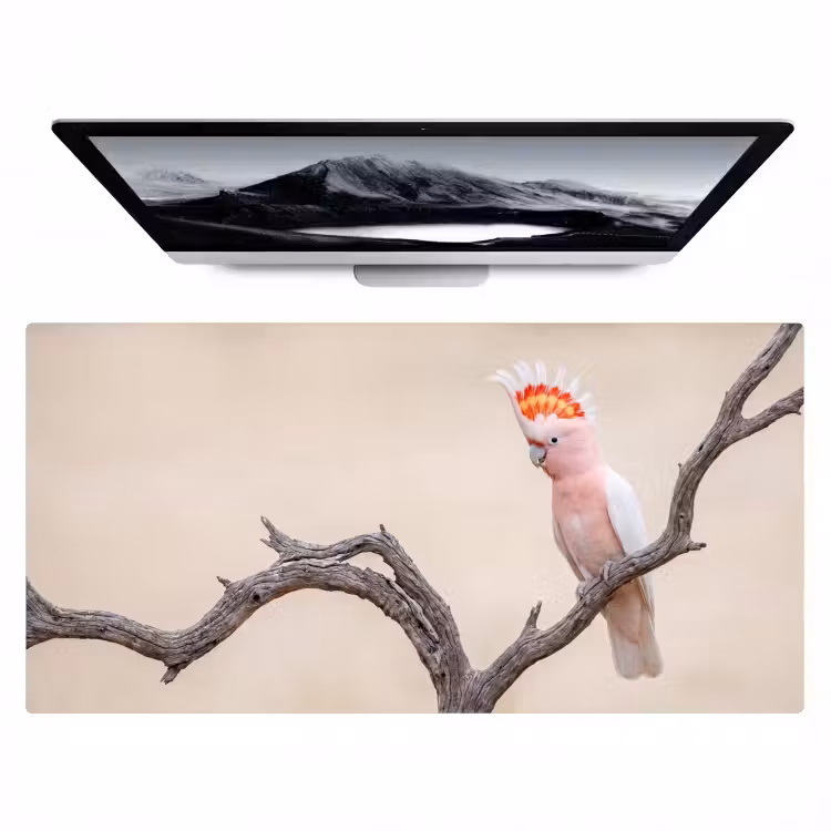 Bureau onderlegger - Papagaai - Tak - Roze — 1