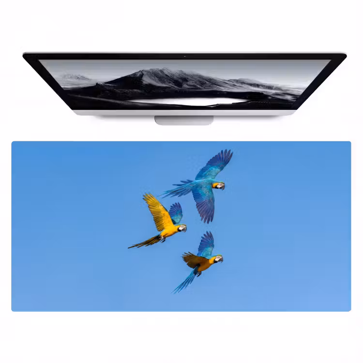 Bureau onderlegger - Papagaai - Vliegen - Blauw - Geel — 1