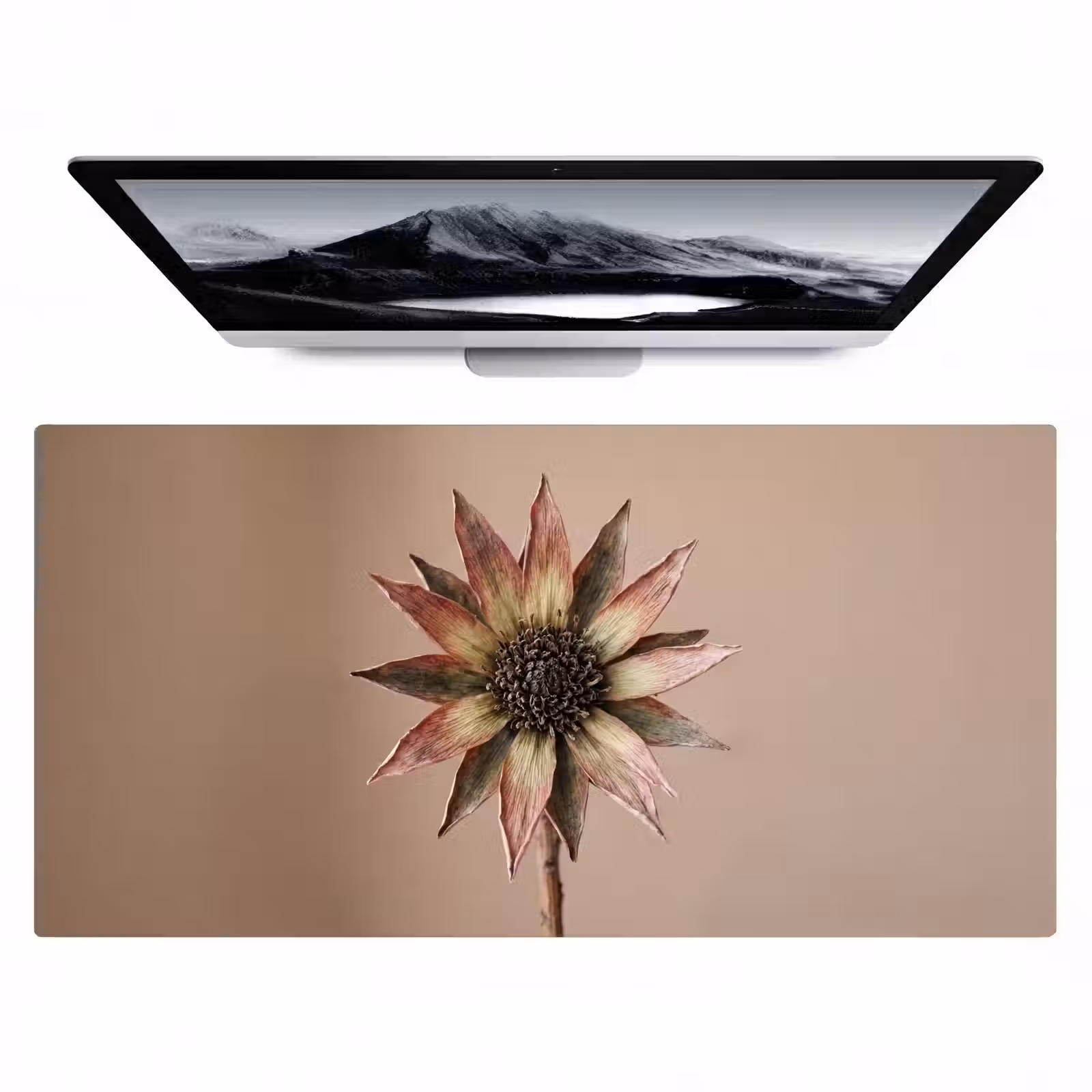 Bureau onderlegger - Droogbloem - Protea - Vintage - Beige - Rustiek — 1