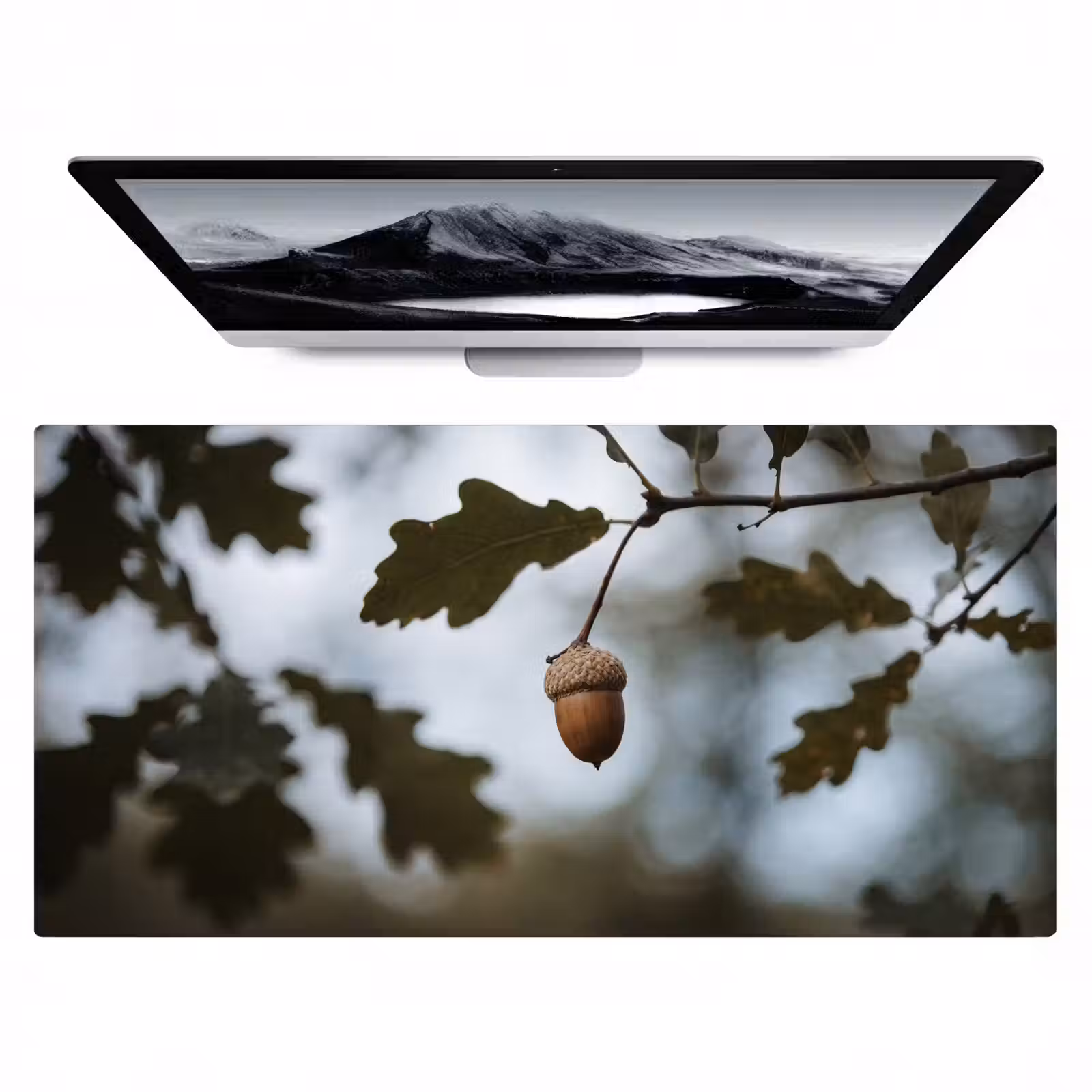 Bureau onderlegger - Eikel - Eikenblad - Bos - Herfst - Natuur — 1